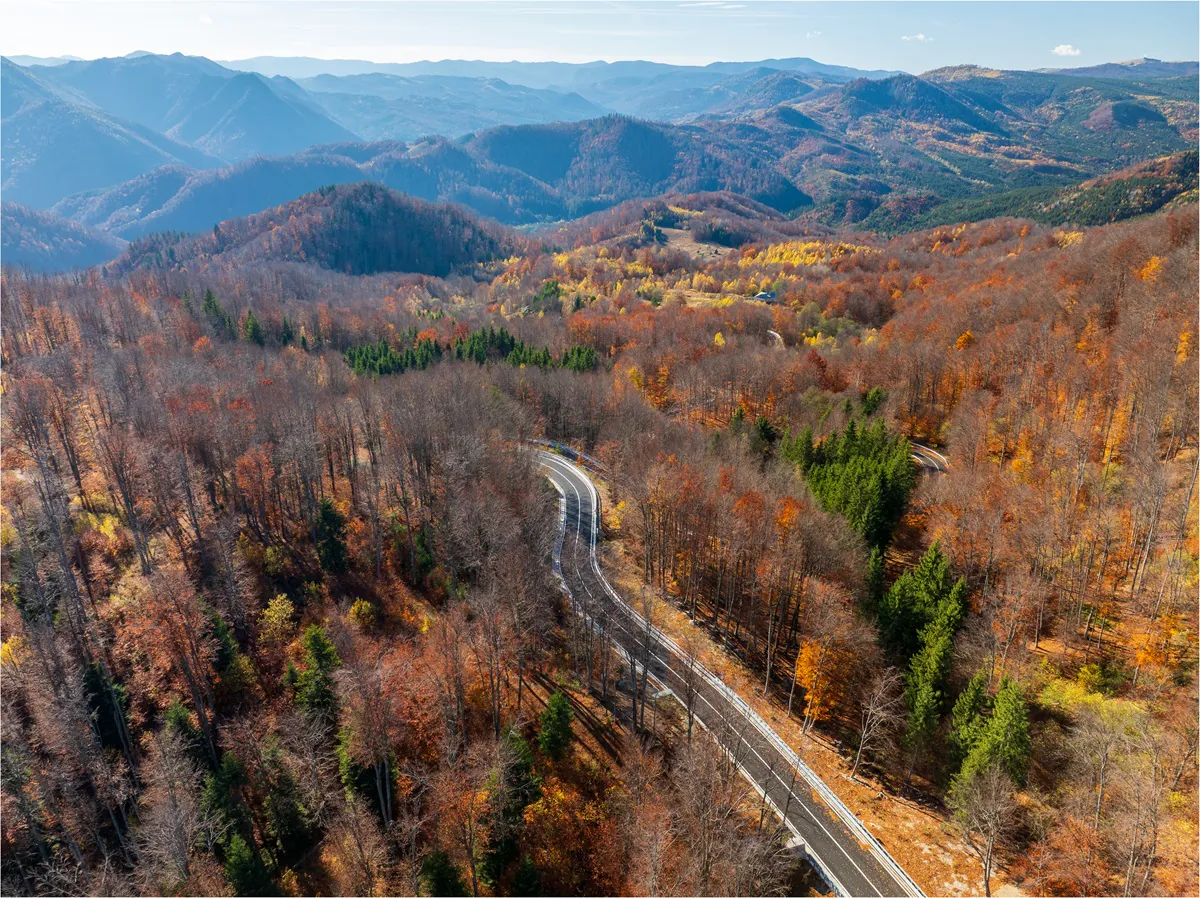 DN2L Soveja – Lepșa