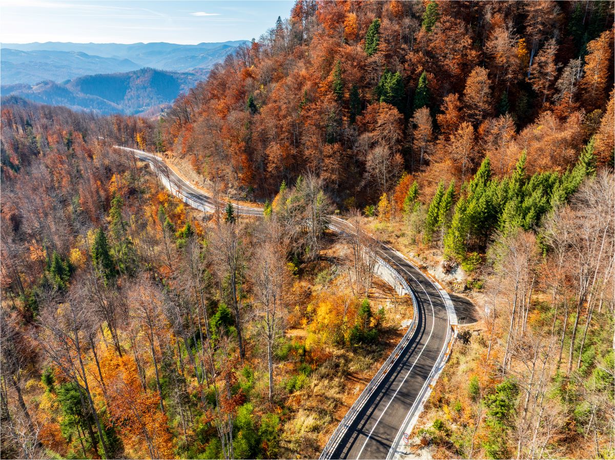 DN2L Soveja – Lepșa