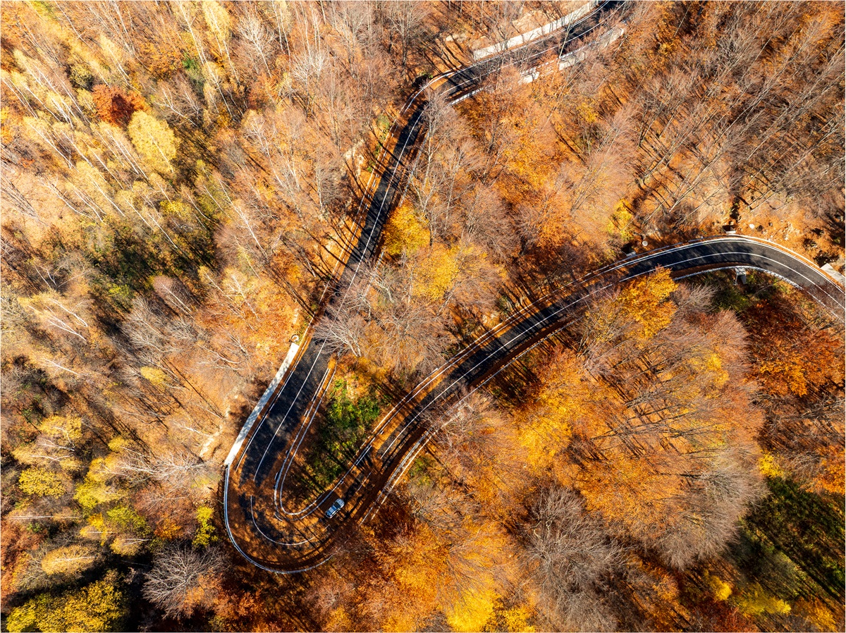 VIDEO DN2L, drum strategic pentru conectivitatea zonei montane a Vrancei, a fost modernizat